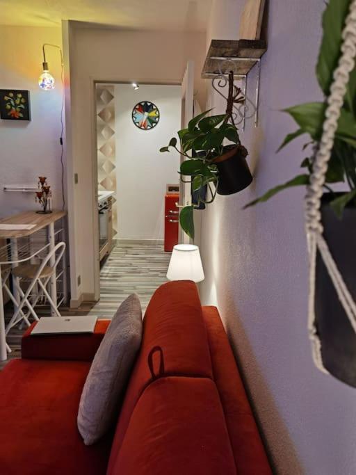 Cosy T1Bis Proche Centreville, Petit Port, Audencia ナント エクステリア 写真